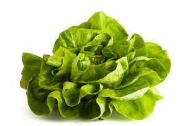 LETTUCE - BUTTER - FARMHOUSE SEEDS (PACK X 1)