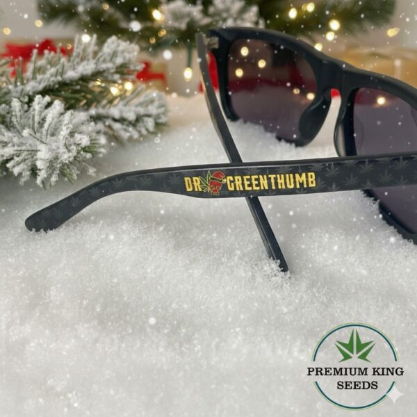 BLACK FLYS ORIGINAL DR GREENTHUMB SUNGLASSES WITH LEAF DESIGNS AND MATERIAL BAG, LIMITED EDITION QUALITY IMPORT (AUTHENTIC AND ORIGINAL)